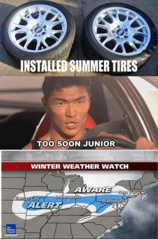 FB_IMG_1710847741190.jpg