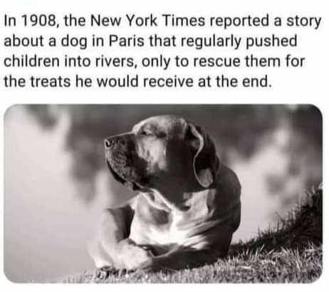 FB_IMG_1710990050243.jpg