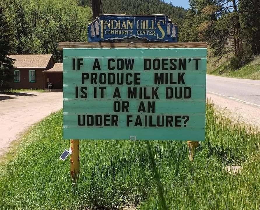 FB_IMG_1712104507473.jpg