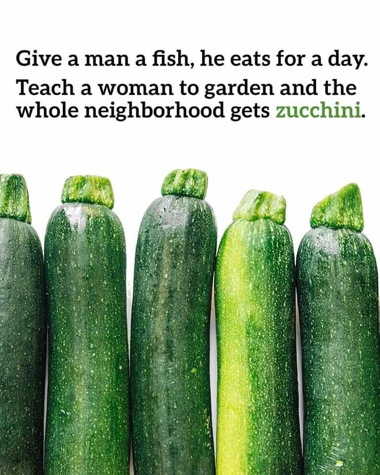 FB_IMG_1712372573337.jpg