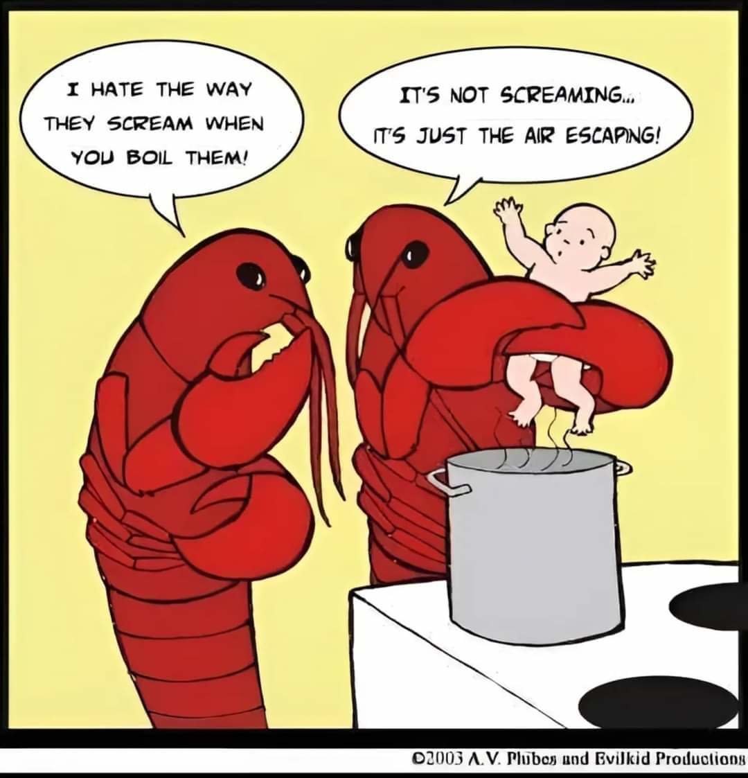 FB_IMG_1712956493896.jpg