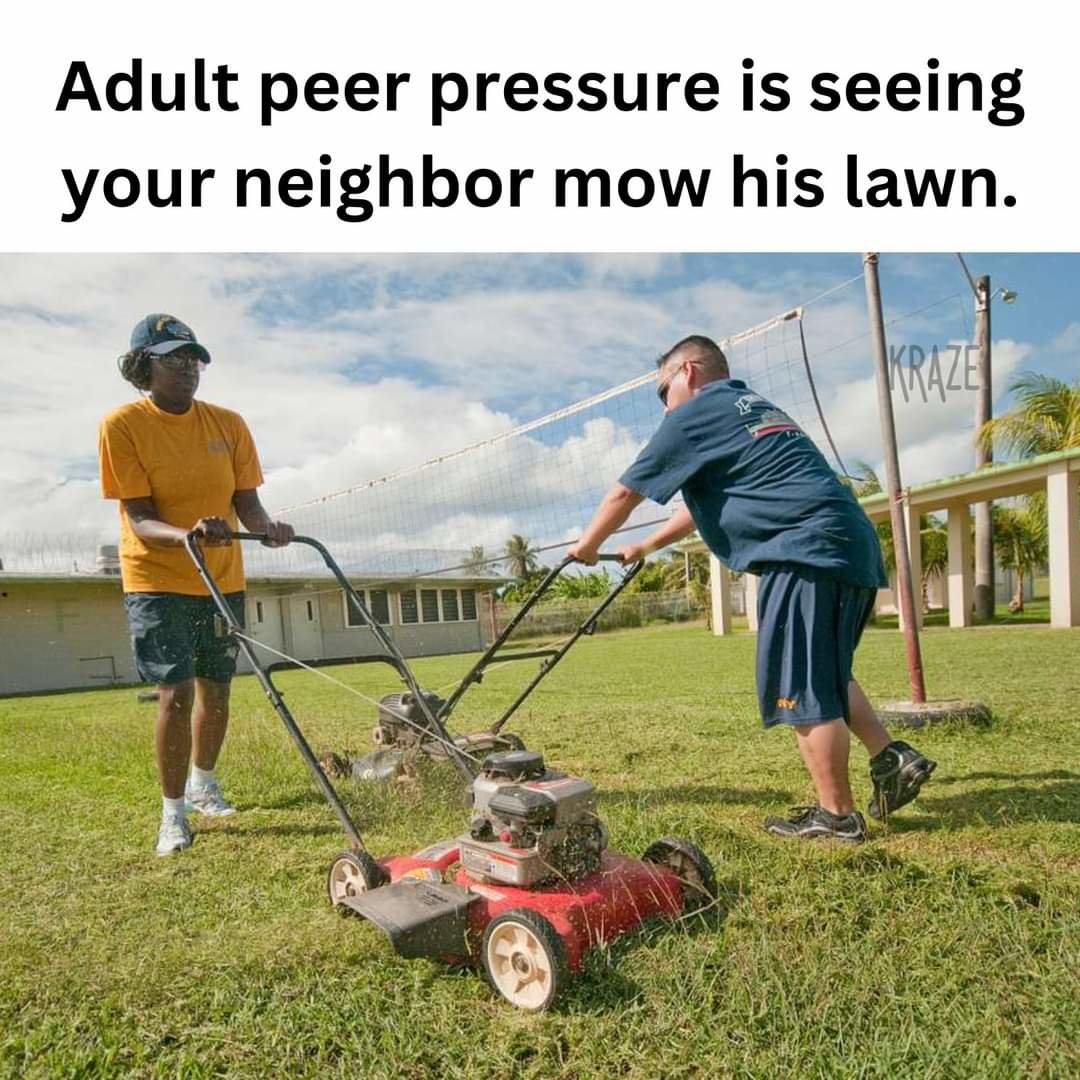 FB_IMG_1714357850160.jpg