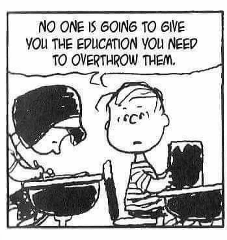 FB_IMG_1714410201286.jpg