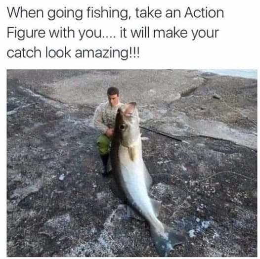 FB_IMG_1719000293925.jpg