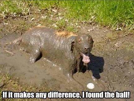 FB_IMG_1719753848399.jpg