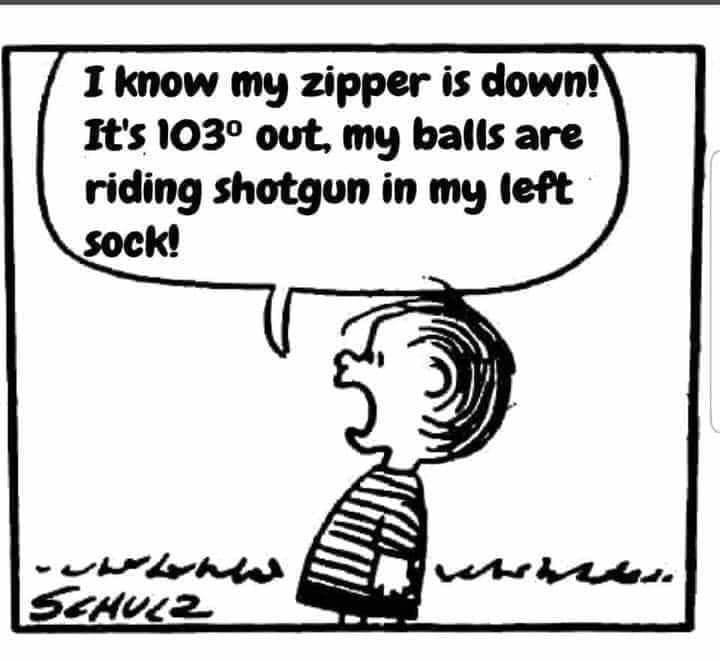 FB_IMG_1720065998402.jpg