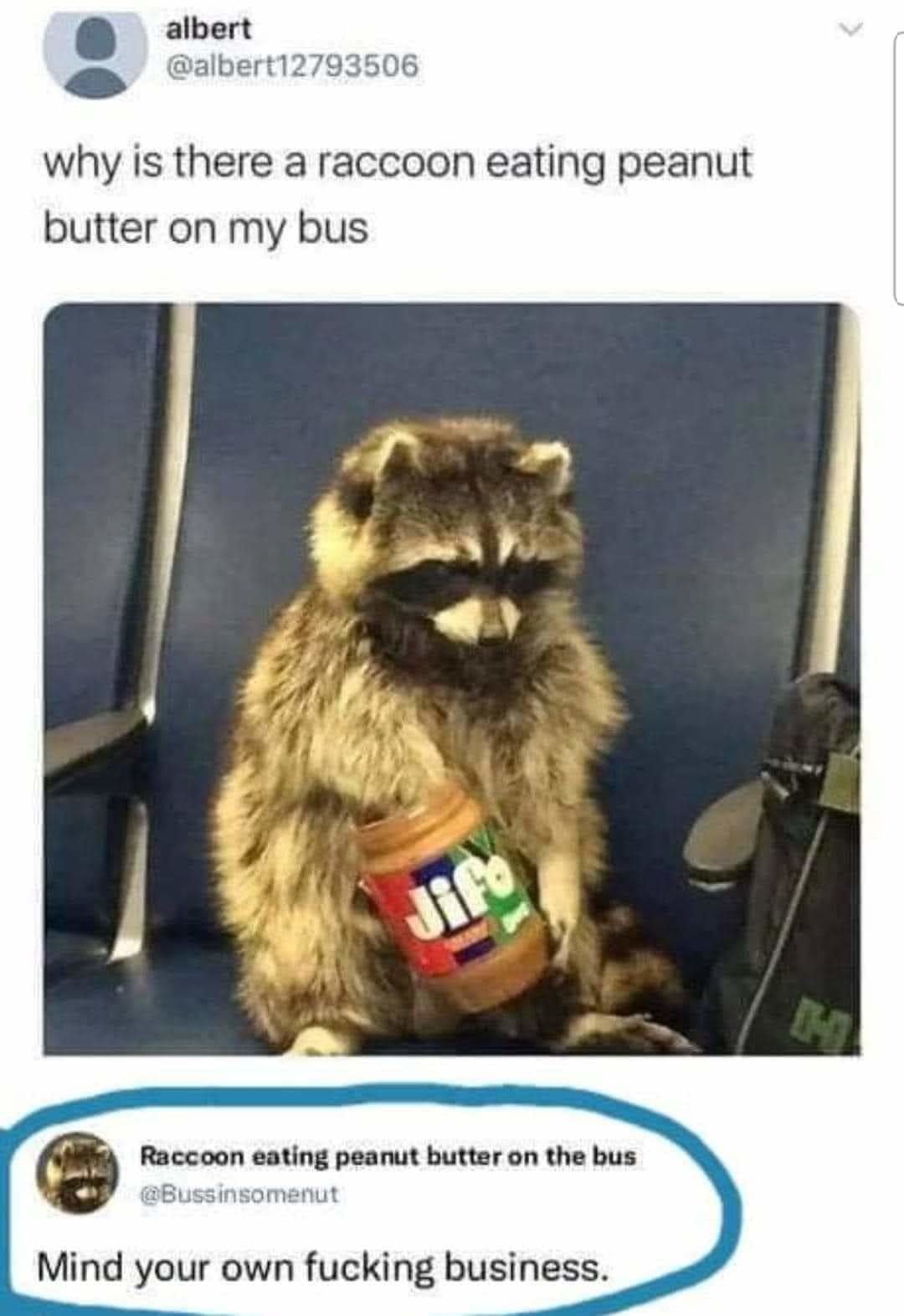 FB_IMG_1720648969707.jpg