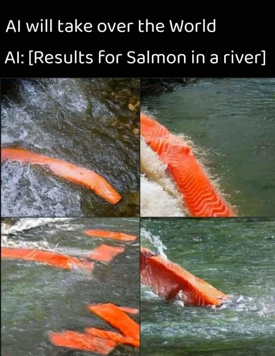 FB_IMG_1720922393638.jpg