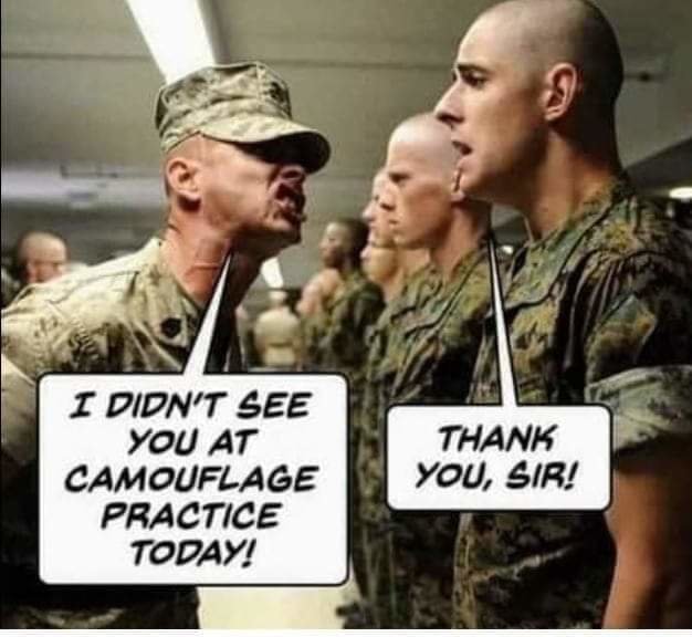 FB_IMG_1721346254701.jpg