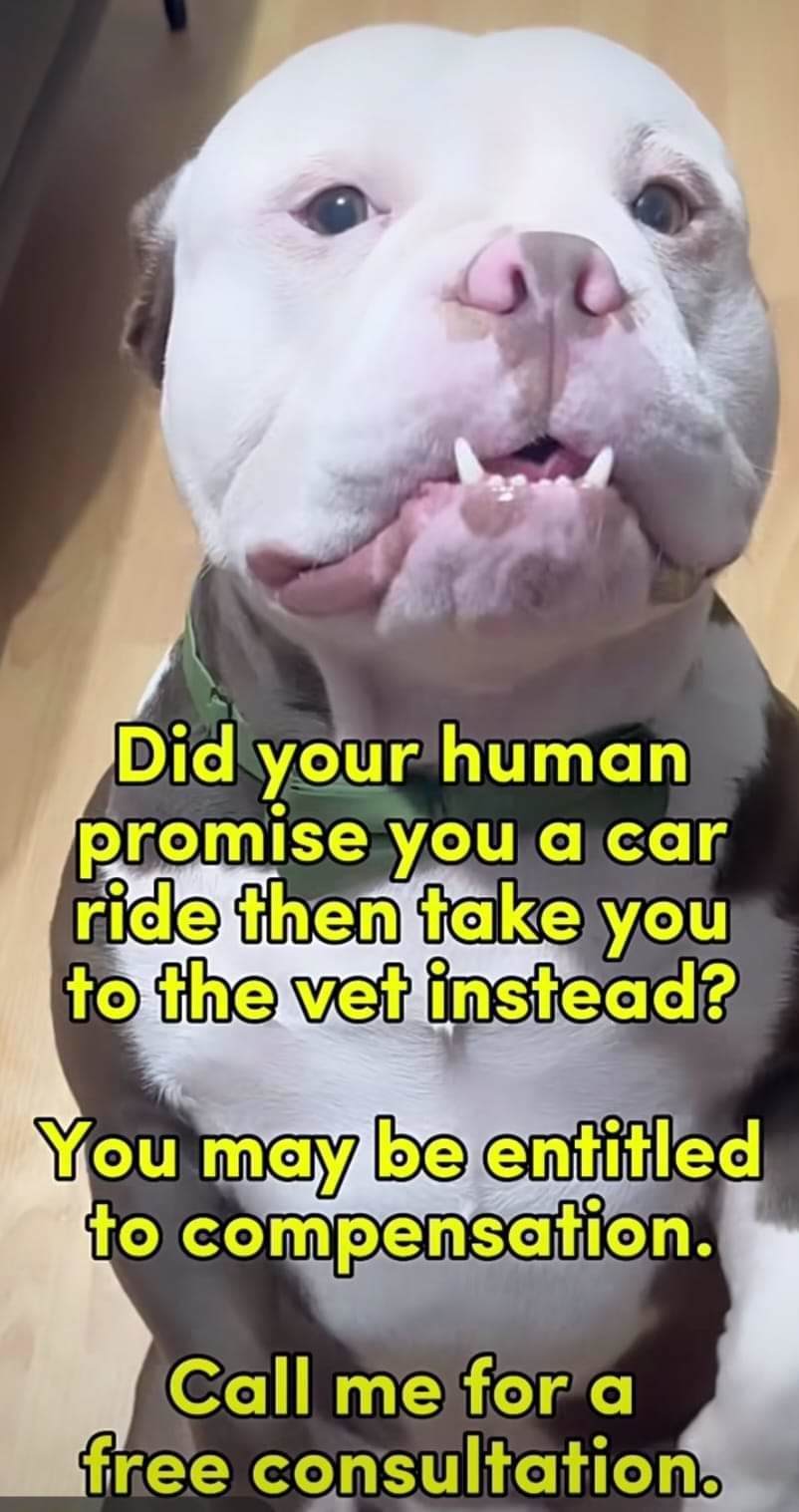 FB_IMG_1721349130098.jpg