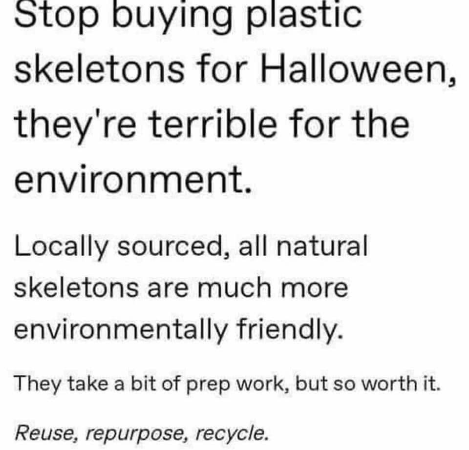 FB_IMG_1728860819472.jpg