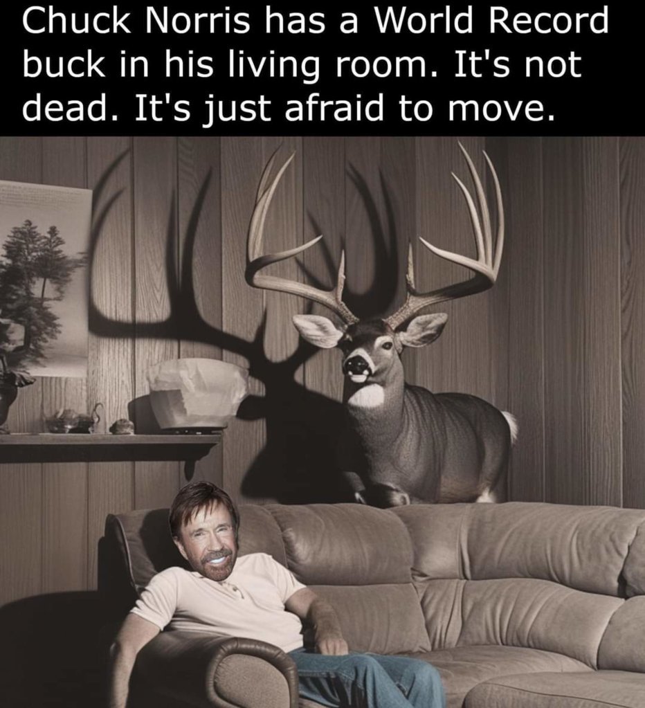 FB_IMG_1729287610749.jpg