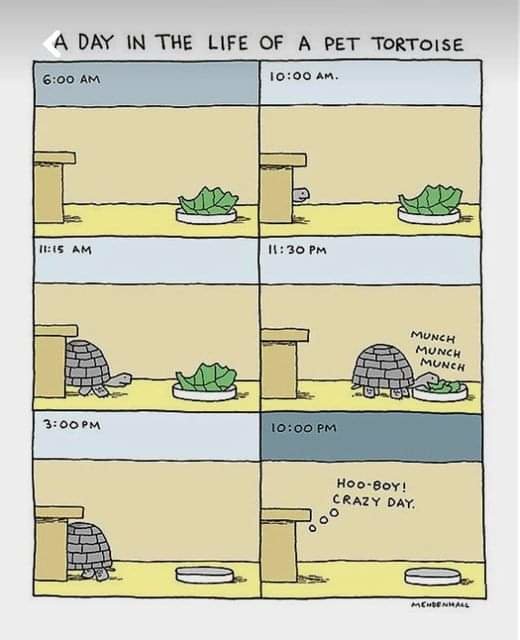 FB_IMG_1729882389262.jpg