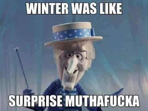 FB_IMG_1731388062986.jpg