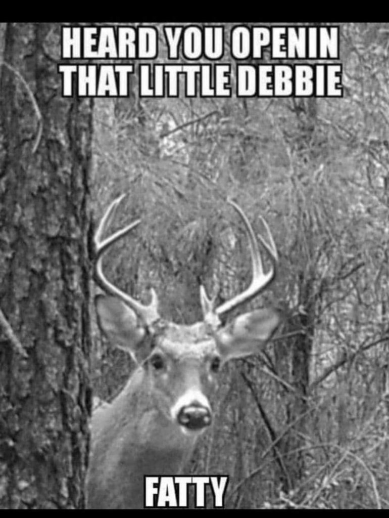 FB_IMG_1731773760315.jpg