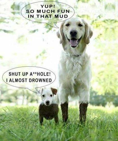 FB_IMG_1732995450915.jpg