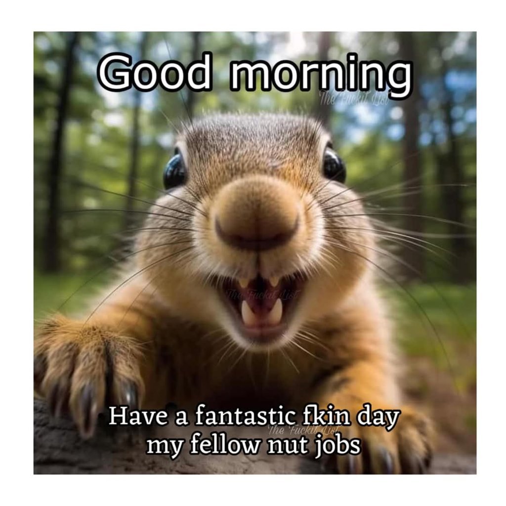FB_IMG_1733336688724.jpg