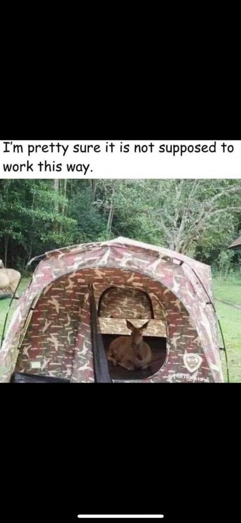 FB_IMG_1734291196378.jpg