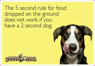 FB_IMG_1736715616830.jpg