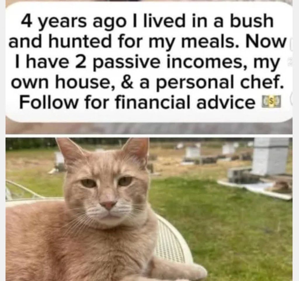 FB_IMG_1740529192032.jpg