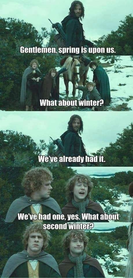 FB_IMG_1742099190616.jpg