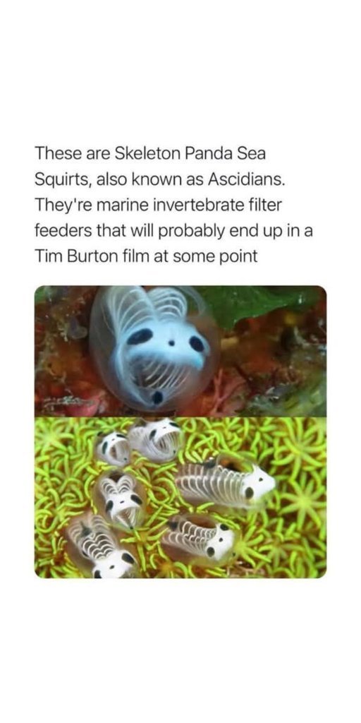 FB_IMG_1745322455618.jpg