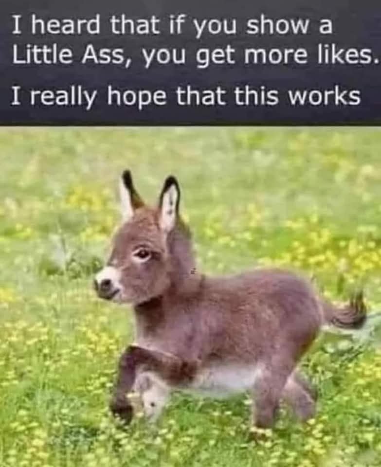 FB_IMG_1748493210455.jpg