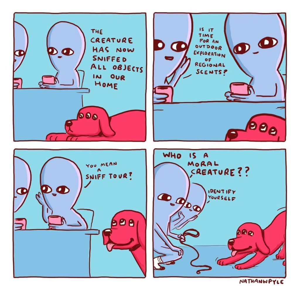 FB_IMG_1750444313377.jpg