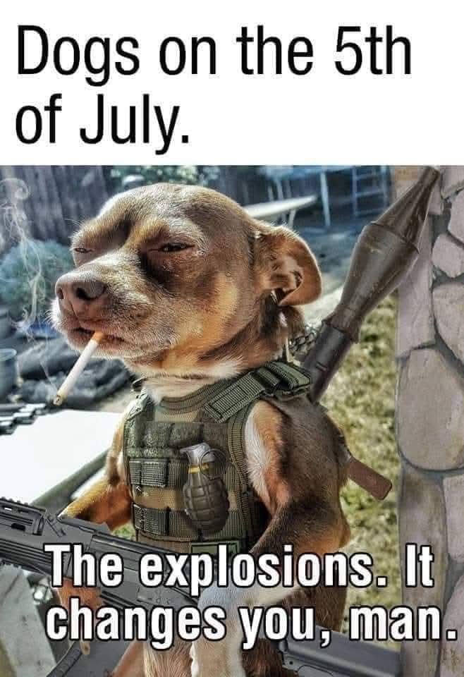 FB_IMG_1751689375734.jpg