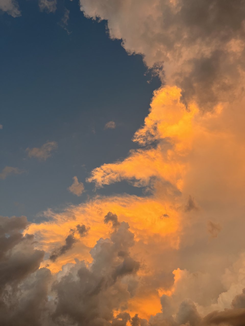 FBC6AA06-4521-4A2C-A265-9585DA7C8F22.jpg