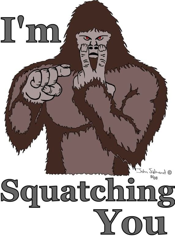 fbd30b2f71d99b713cd8caf80f406f0a--finding-bigfoot-bigfoot-sasquatch.jpg