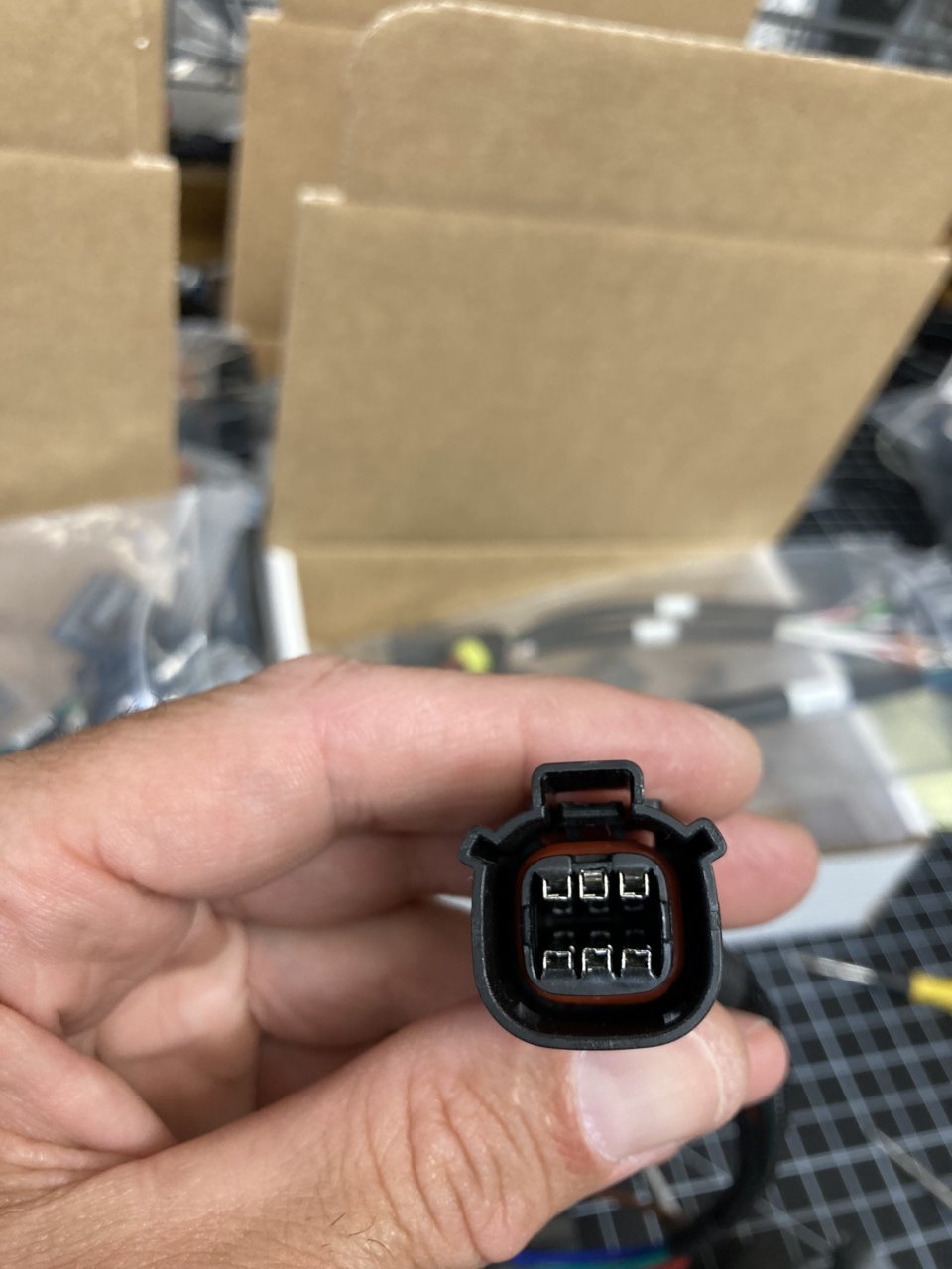 FC1635F7-EB7E-4B0E-8A3A-1B7090D9CCFA.jpg