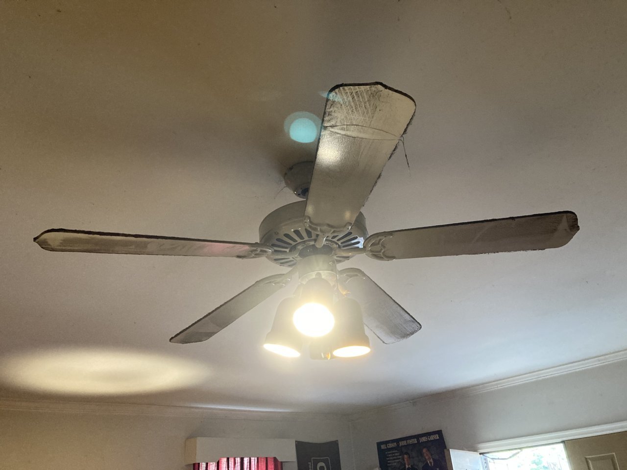 FC5603D0-CBC2-47CC-A500-6B0589F5D8FE.jpg