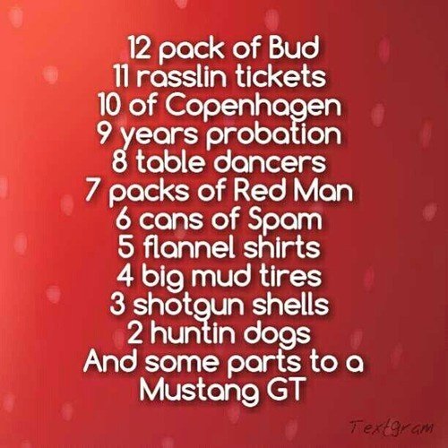 fc590583d9321e31fc84aa0e5ec34402--redneck-christmas-southern-christmas.jpg