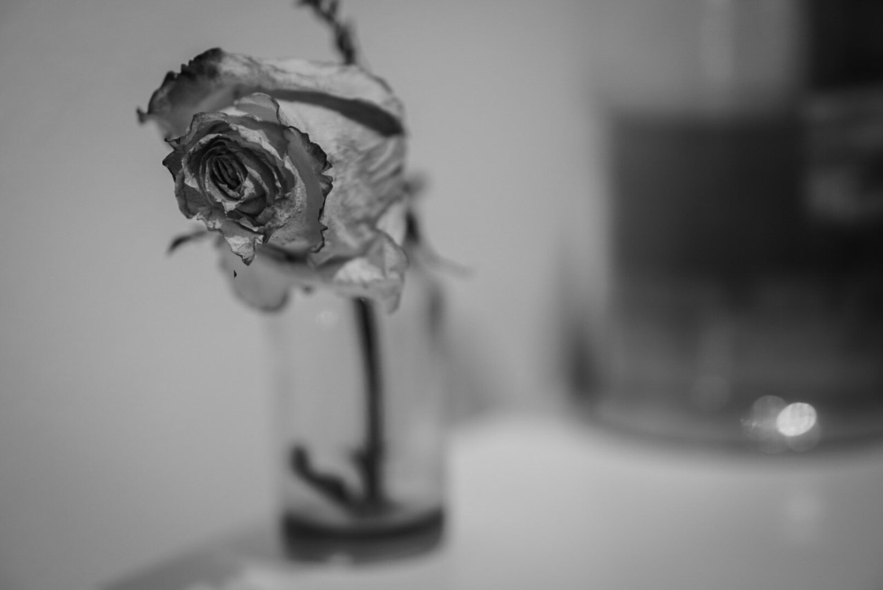 fc8c306fe144315ba390c0e8c424a7f3_91252a3e1c4ba90911ab651ffc958ca44dd0a04f.jpg