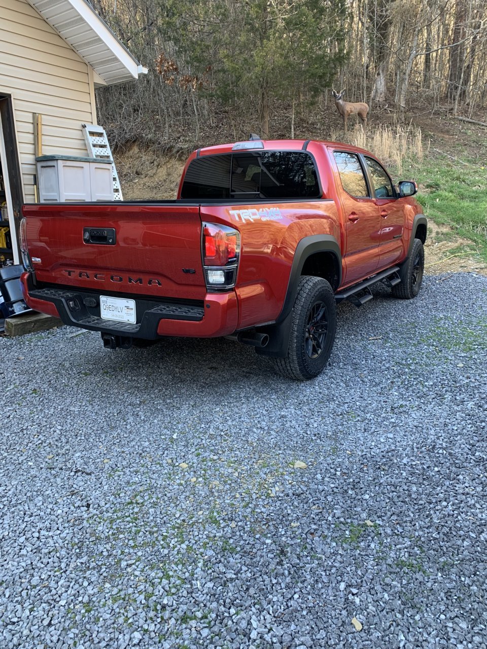 FCA8ECA6-1C24-4E68-912A-4E852462D829.jpg