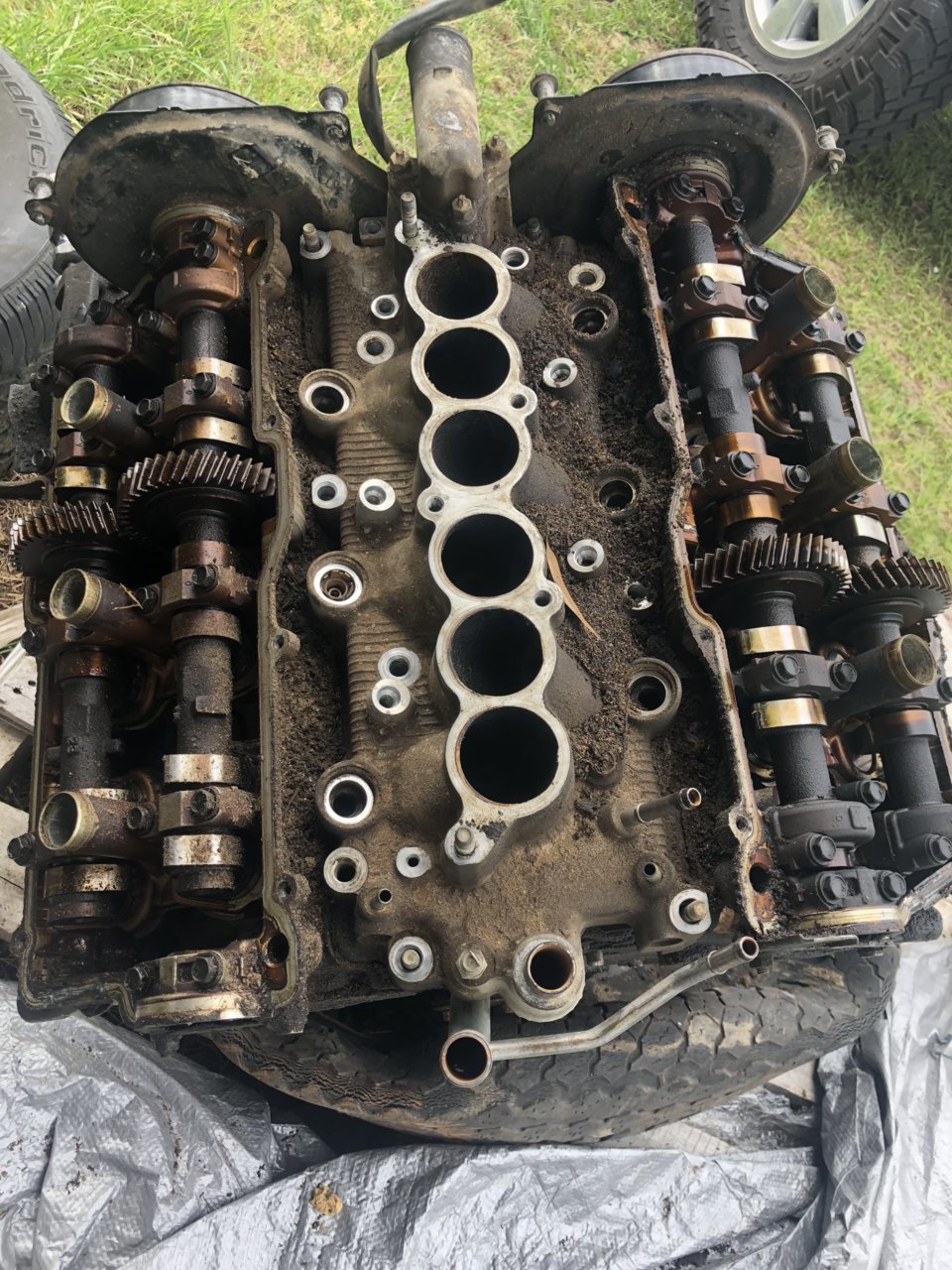 FD4D52BC-2B61-4FFF-BDB9-BF0DC63FBCA7.jpg