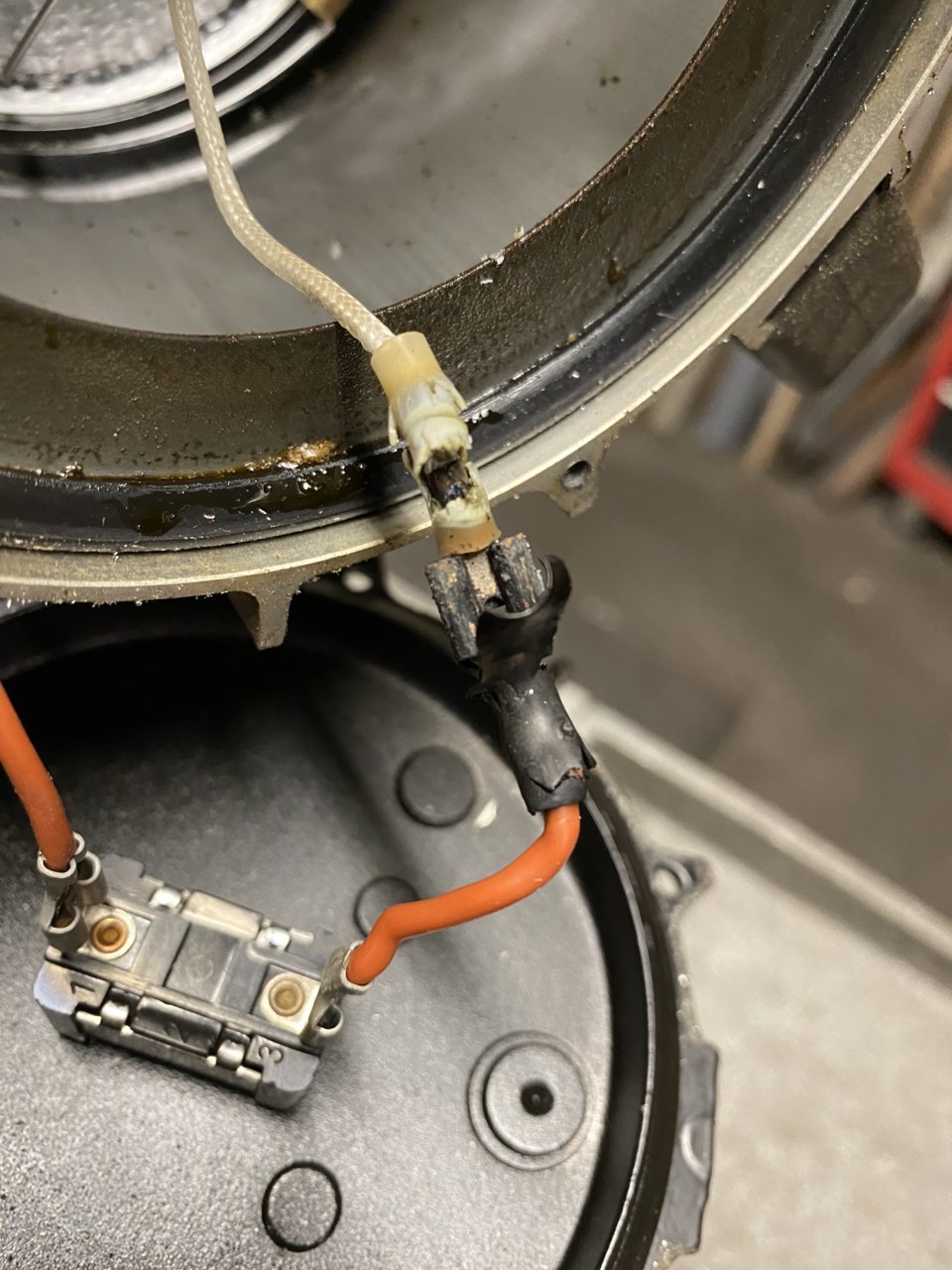 FD5353EC-E3EB-45B3-A3B4-0FA652F39FA2.jpg
