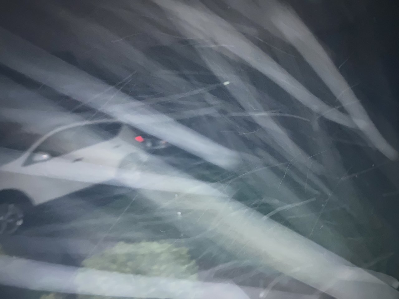 FD8EF747-6E01-4363-B2E1-1B3A987179DF.jpg