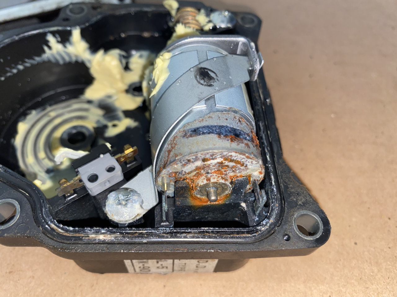FD9BAF67-D9E2-4A08-A8BF-71A2BD804AFD.jpg