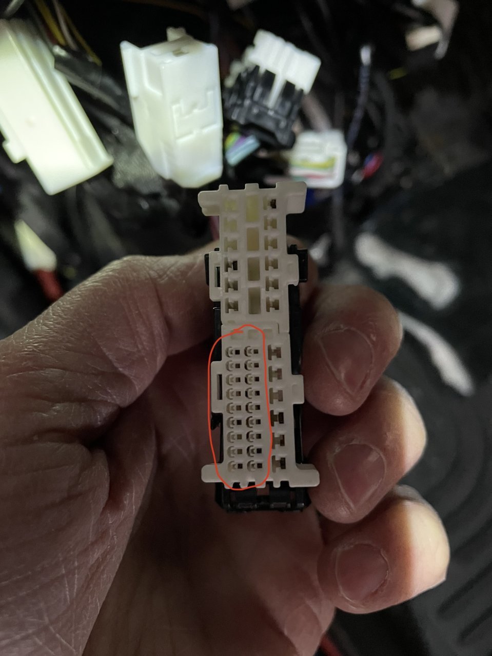 FDC46DA0-58C3-4E69-A2B7-7931EBCBEF46.jpg