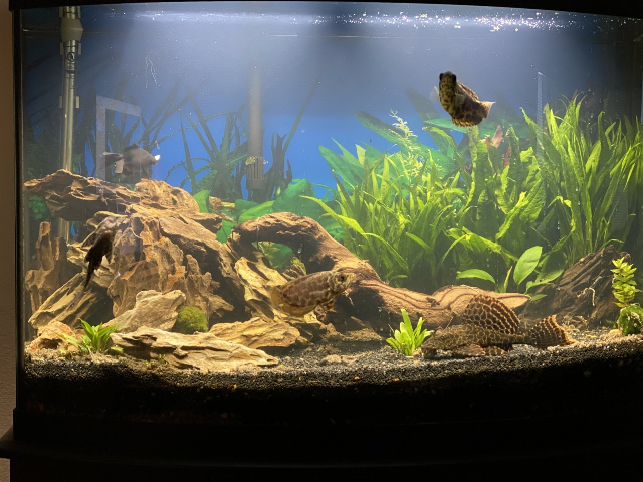 FDE3A5E1-11DD-40C3-98BF-35F194C77043.jpg