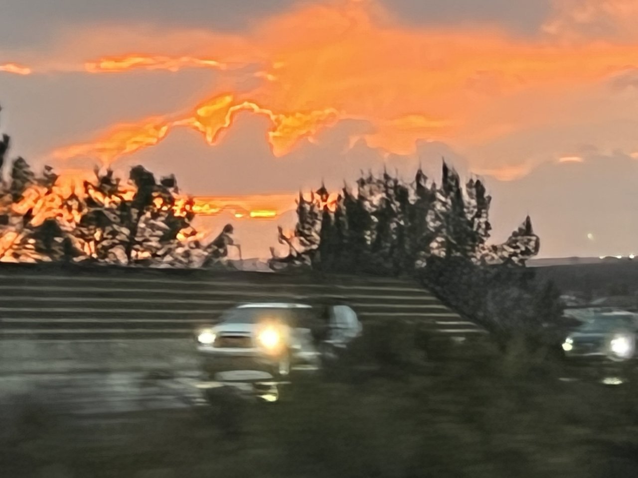 FDE4F913-C3C5-4D76-86AA-5D06C854402C.jpg