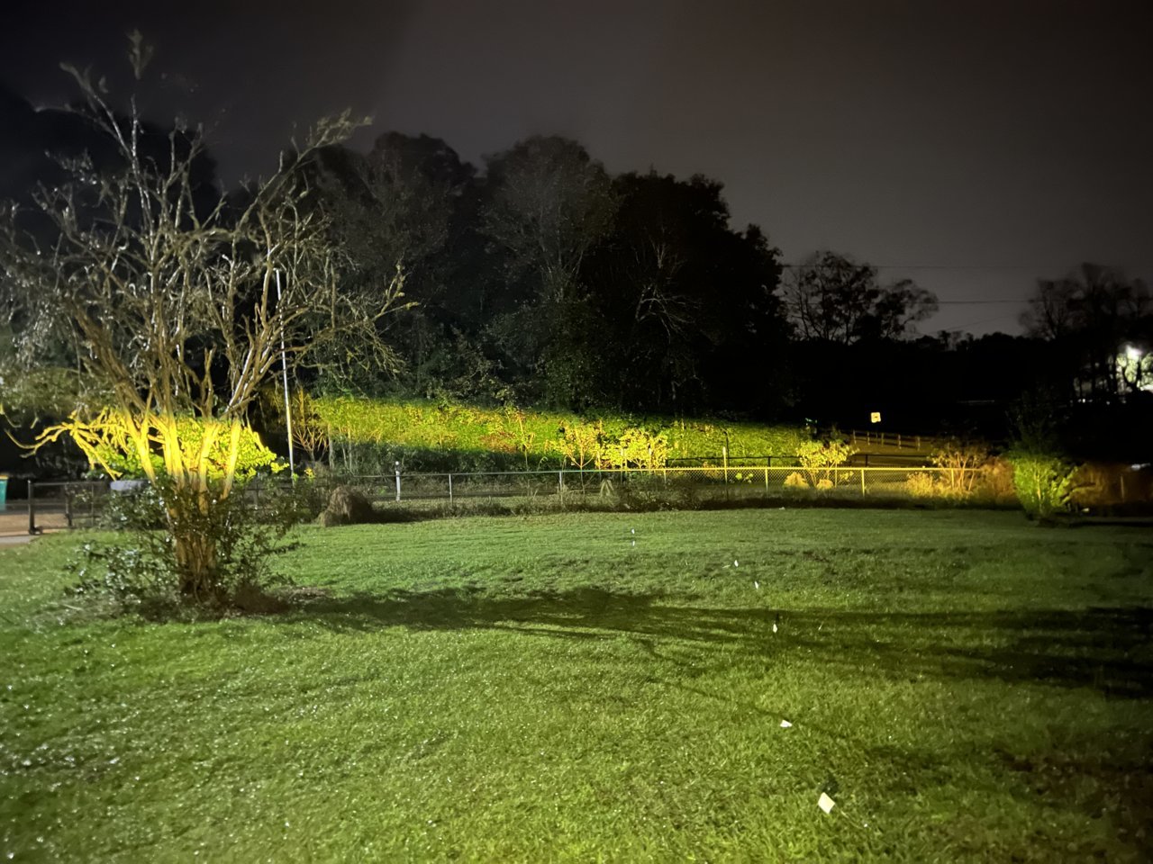 FE0FADFB-9983-45DF-B206-2C5EBE6CDD73.jpg