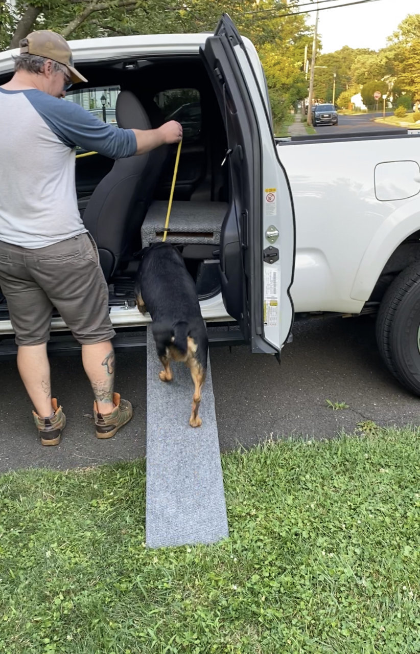 Dog ramp outlet for truck cab