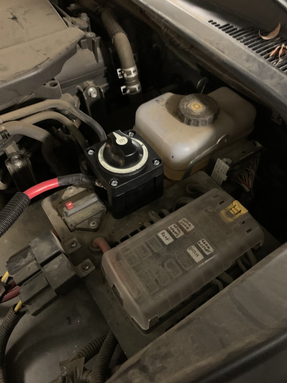 FE42ADF3-818A-4F1B-81F9-CB5DC0794CA4.jpg