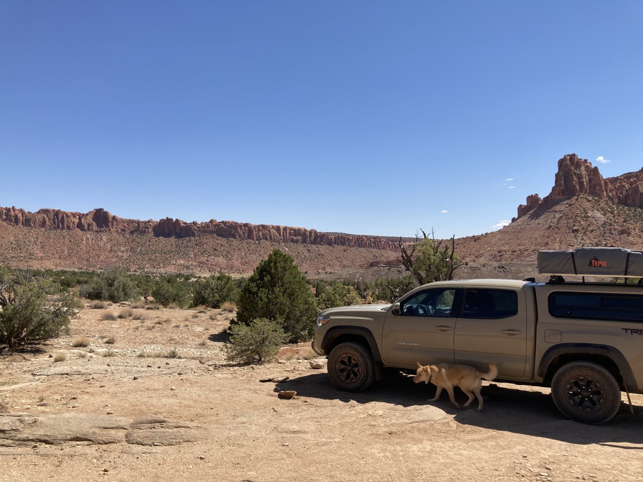 FE5BDC50-F8C0-4164-9AB8-C55C8BB6C9D1.jpg