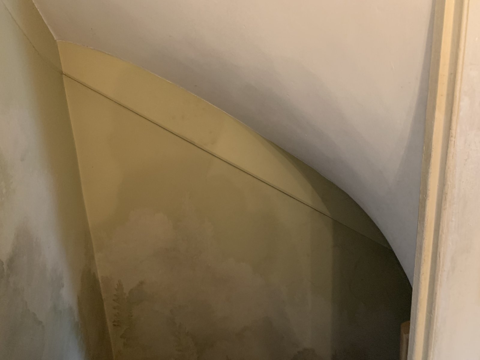 FE88EC9B-C9CC-4135-AE5D-35F9996C0A18.jpg