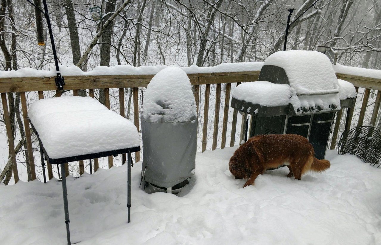 Feb10AM snow.jpg