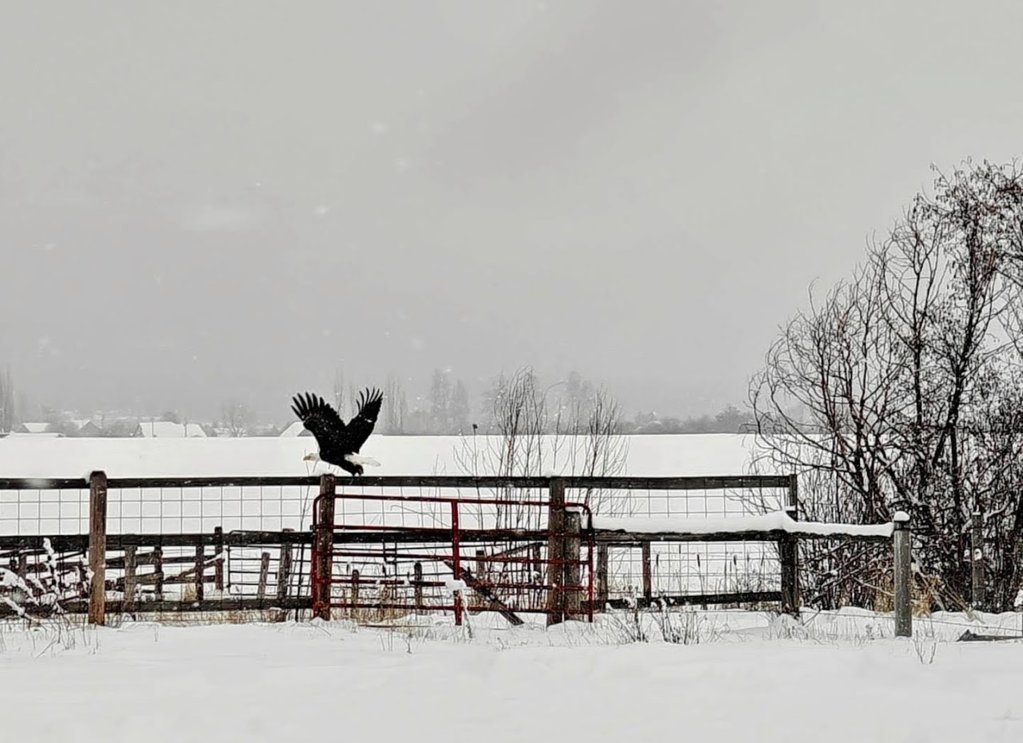 Feb_14_2025_2_13_07.jpg
